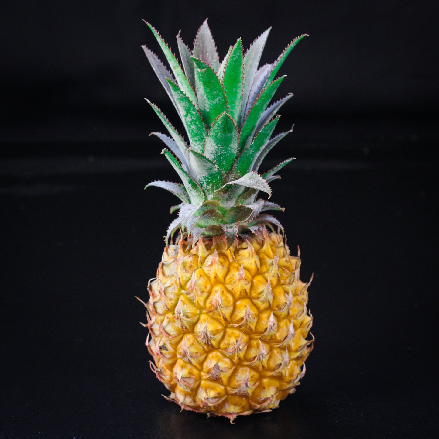 Ananás "baby" 1 ks (sladký)