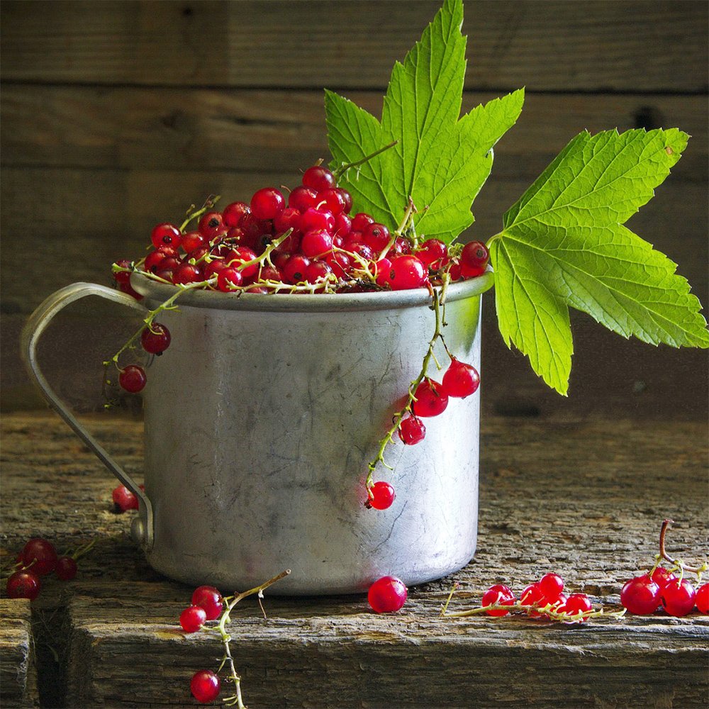 Červené ríbezle 125g