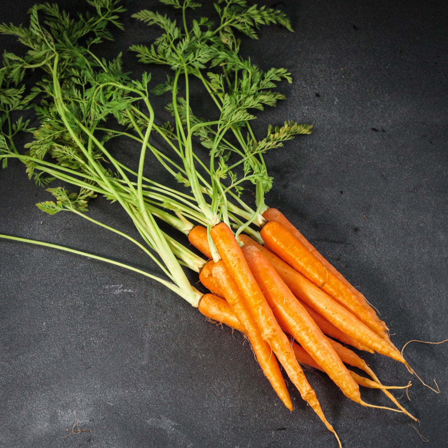 Mrkva - nová (zväzok) s vňaťou 1 ks