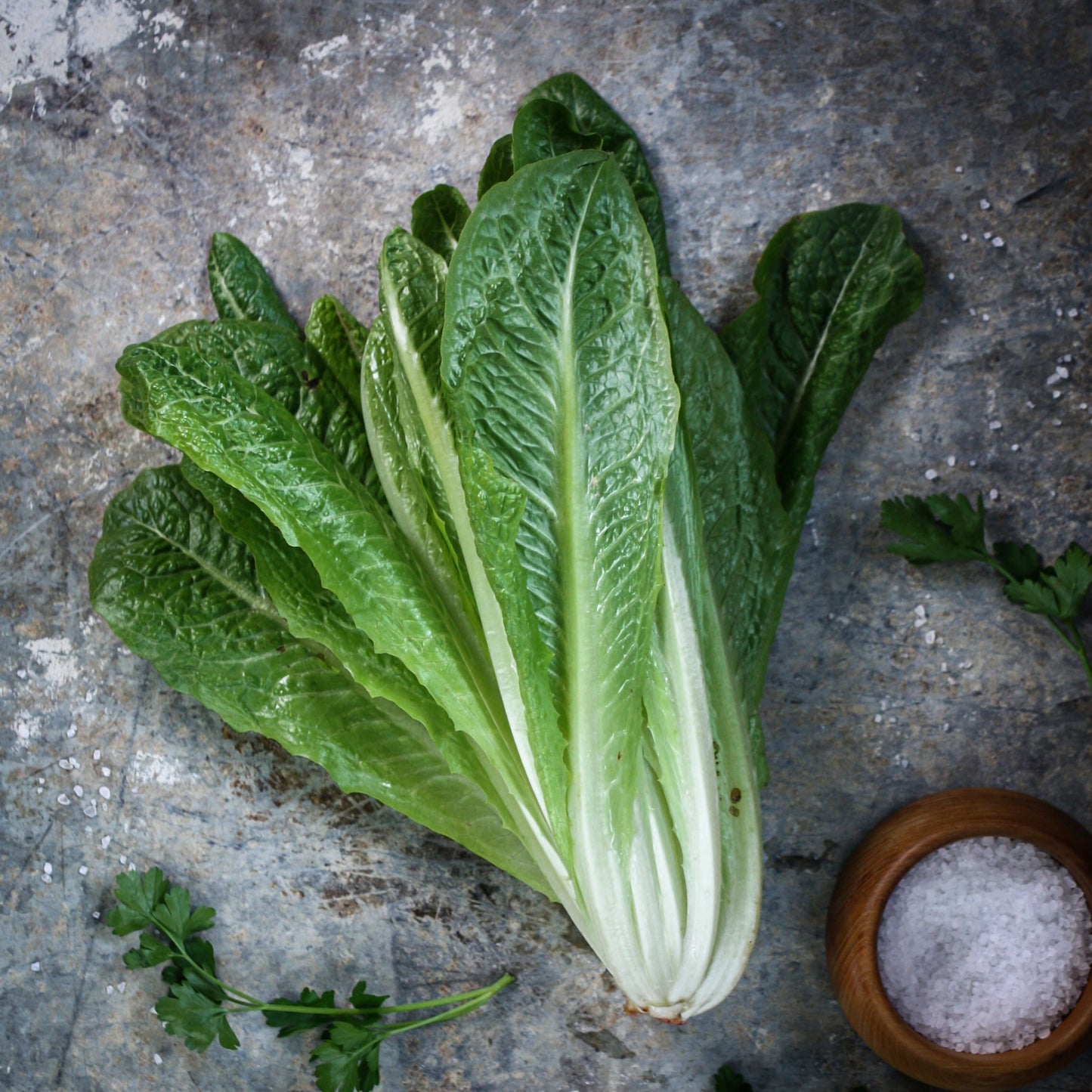 Šalát rímsky 1 ks