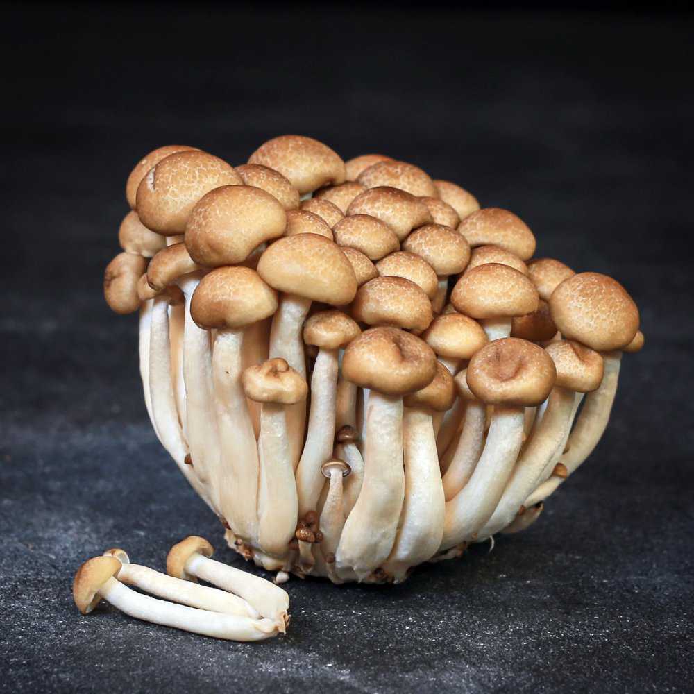 Shimeji huby 150g - hnedé