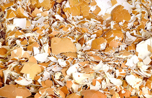 Vaječné Škrupiny: Prírodné a Ekologické Riešenie pre Domácnosť