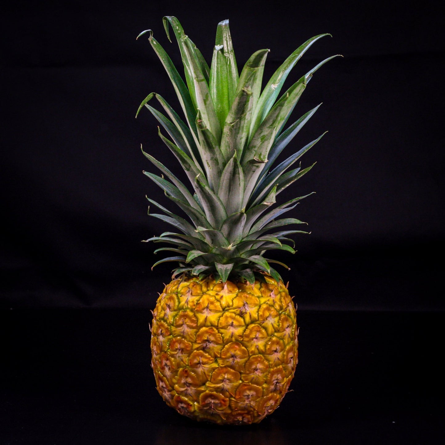 Ananás letecký Air by extra R.T.E 1ks