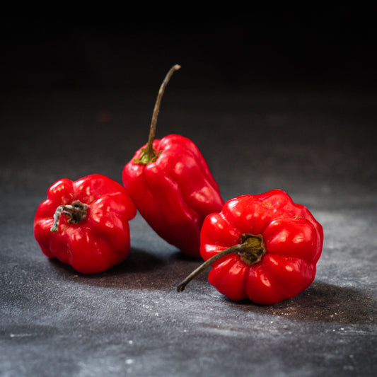 Čili papričky Habanero (červené) 50g