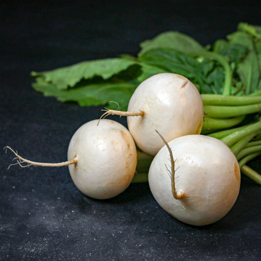 Reďkovka biela - zväzok 1ks