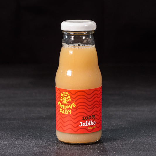 100 % jablková šťava 200 ml