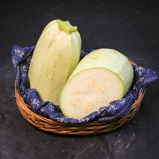 Tekvica - biela 1 ks