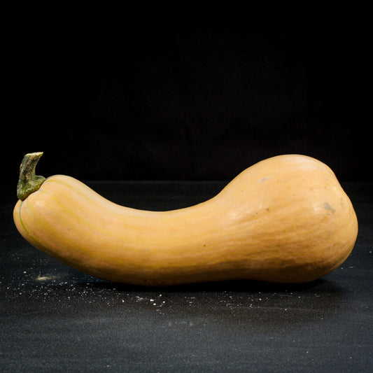 Tekvica - maslová butternut 1 ks