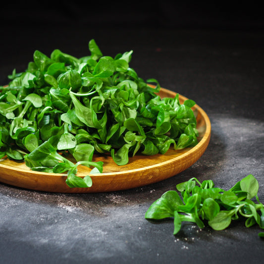 Valerián poľný zväzok 125g