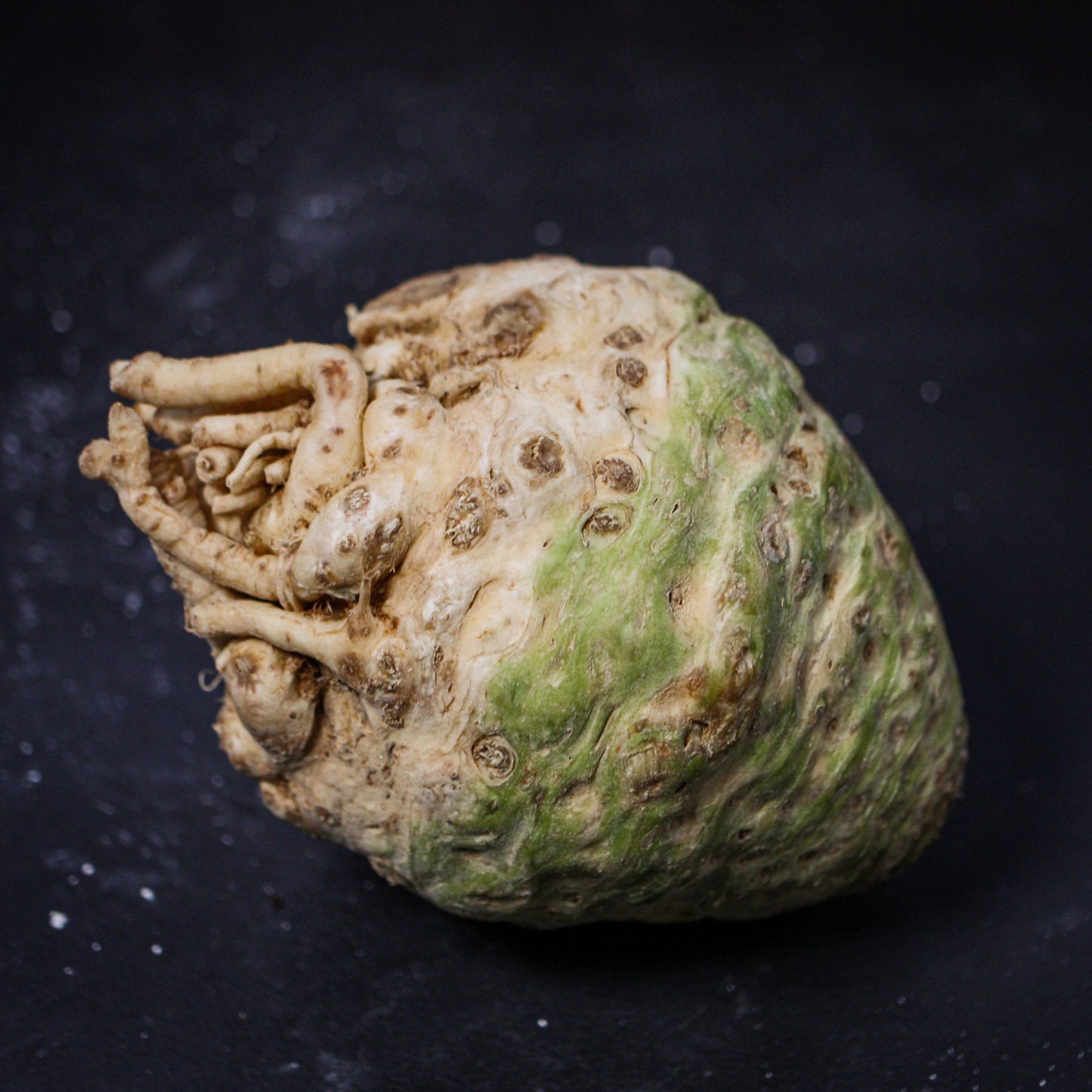 Zeler - bulva bez vňate 1ks