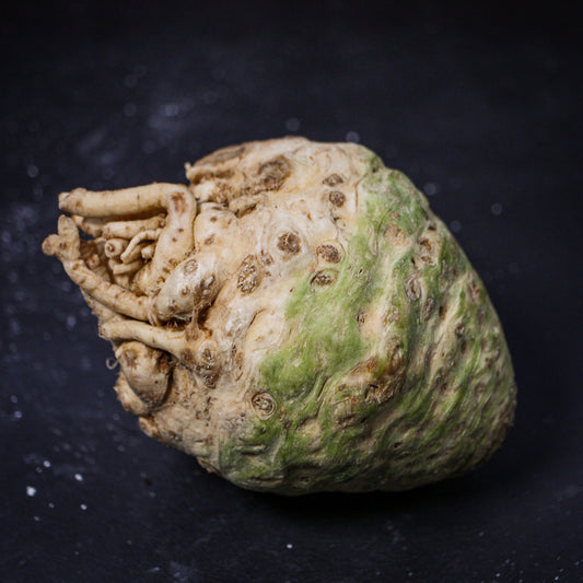 Zeler - bulva bez vňate 1ks