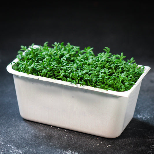 Žerucha čerstvá BIO (100 g)