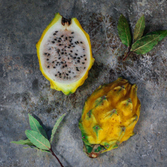 Žltá pitahaya 1 ks